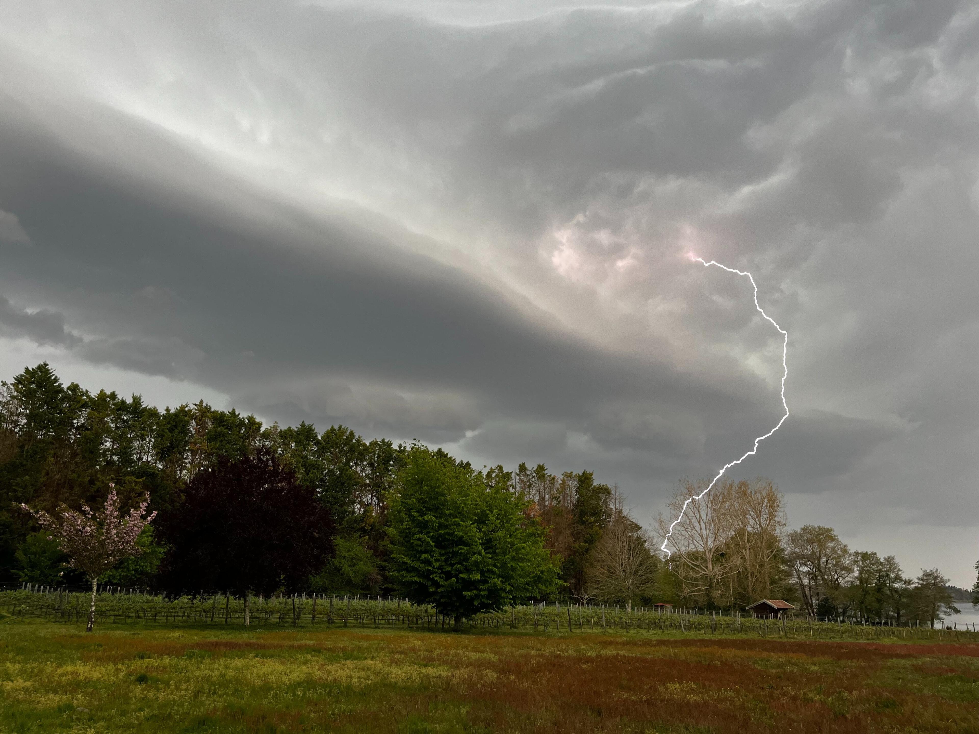 Insurx weather damage insurance claims renaud confavreux S4 PH Fkrl CBY unsplash