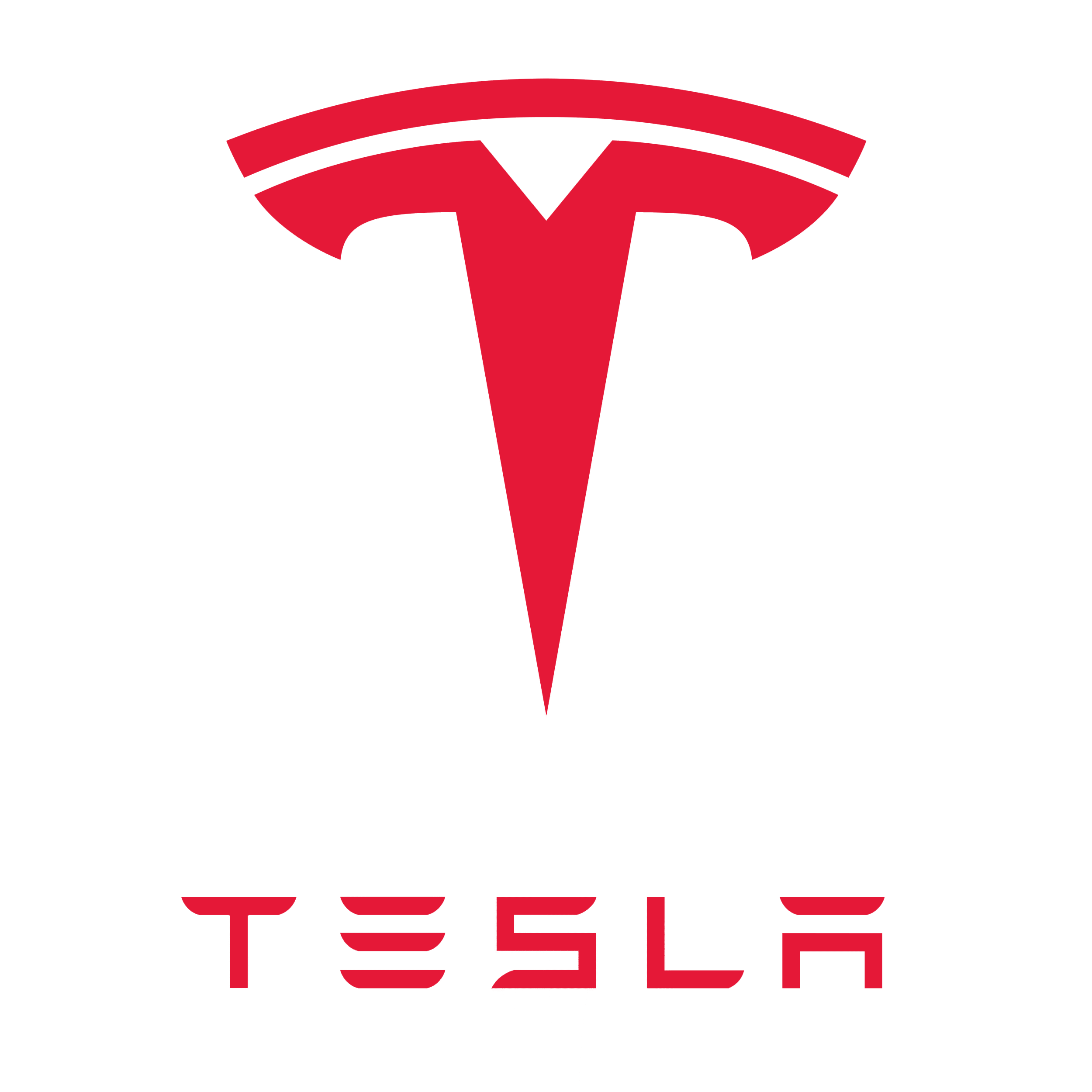 Tesla logo