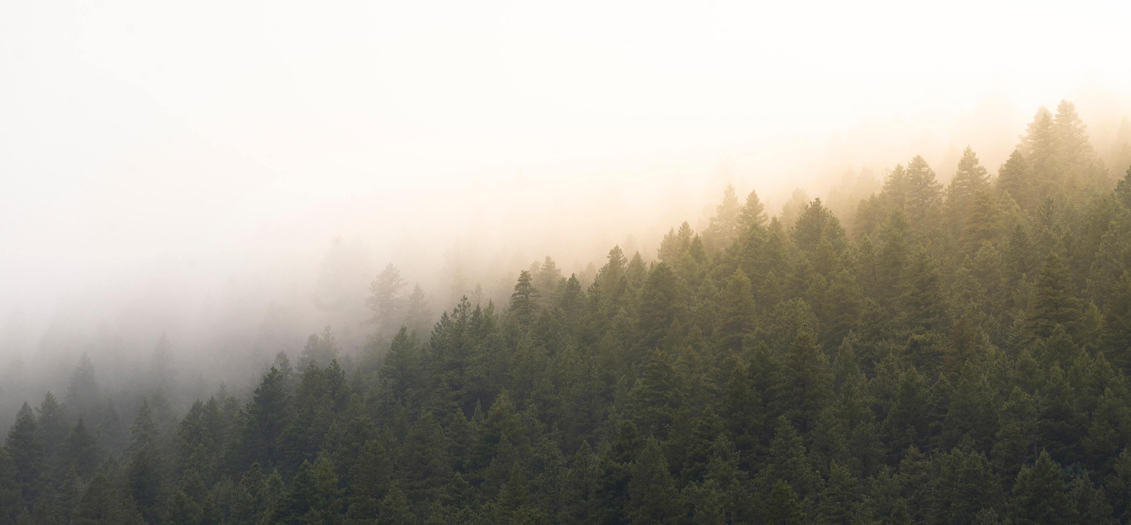 How to use weather api 2