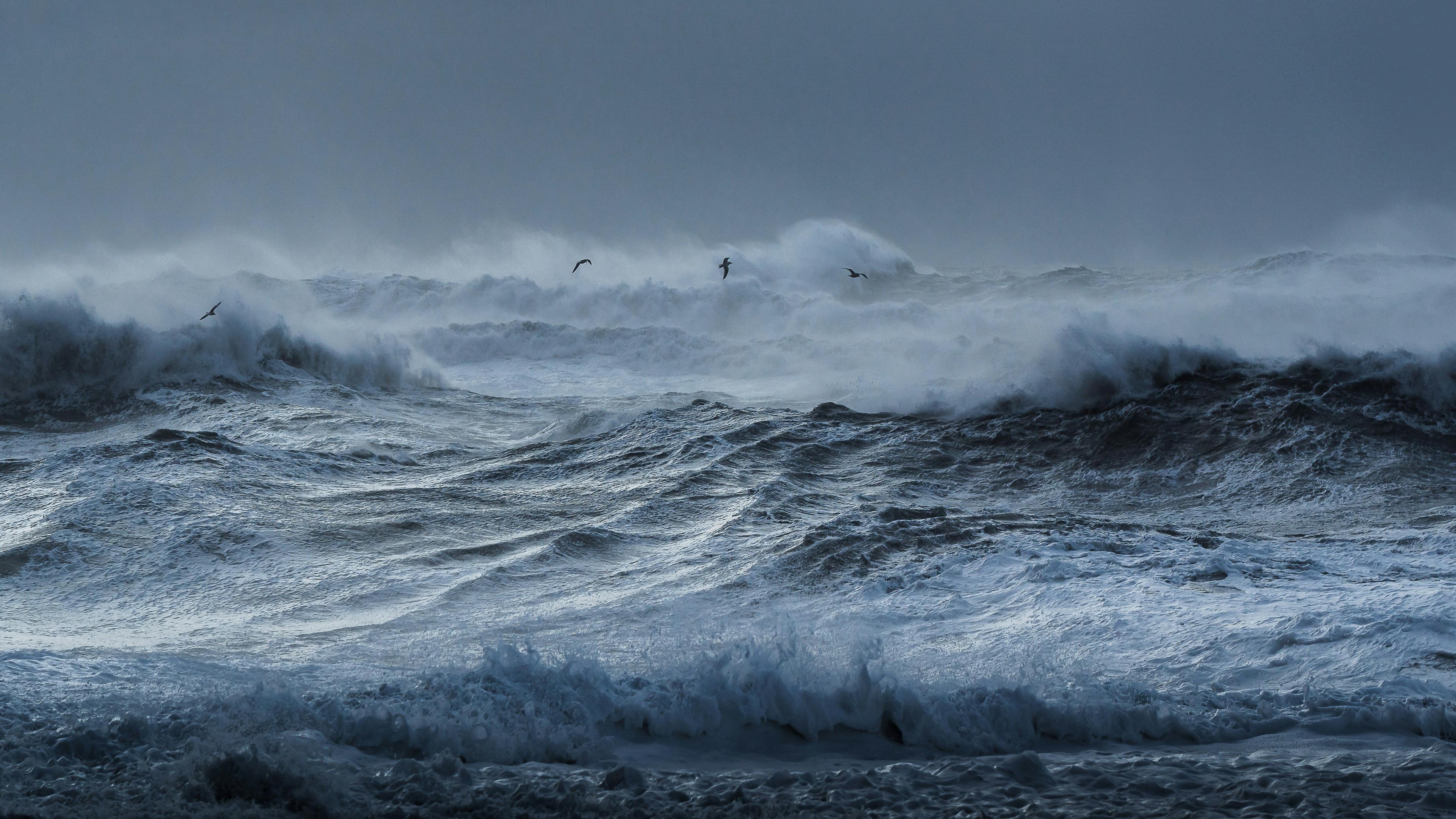 Tyler scheviak DVQ Qj9po I Zs unsplash