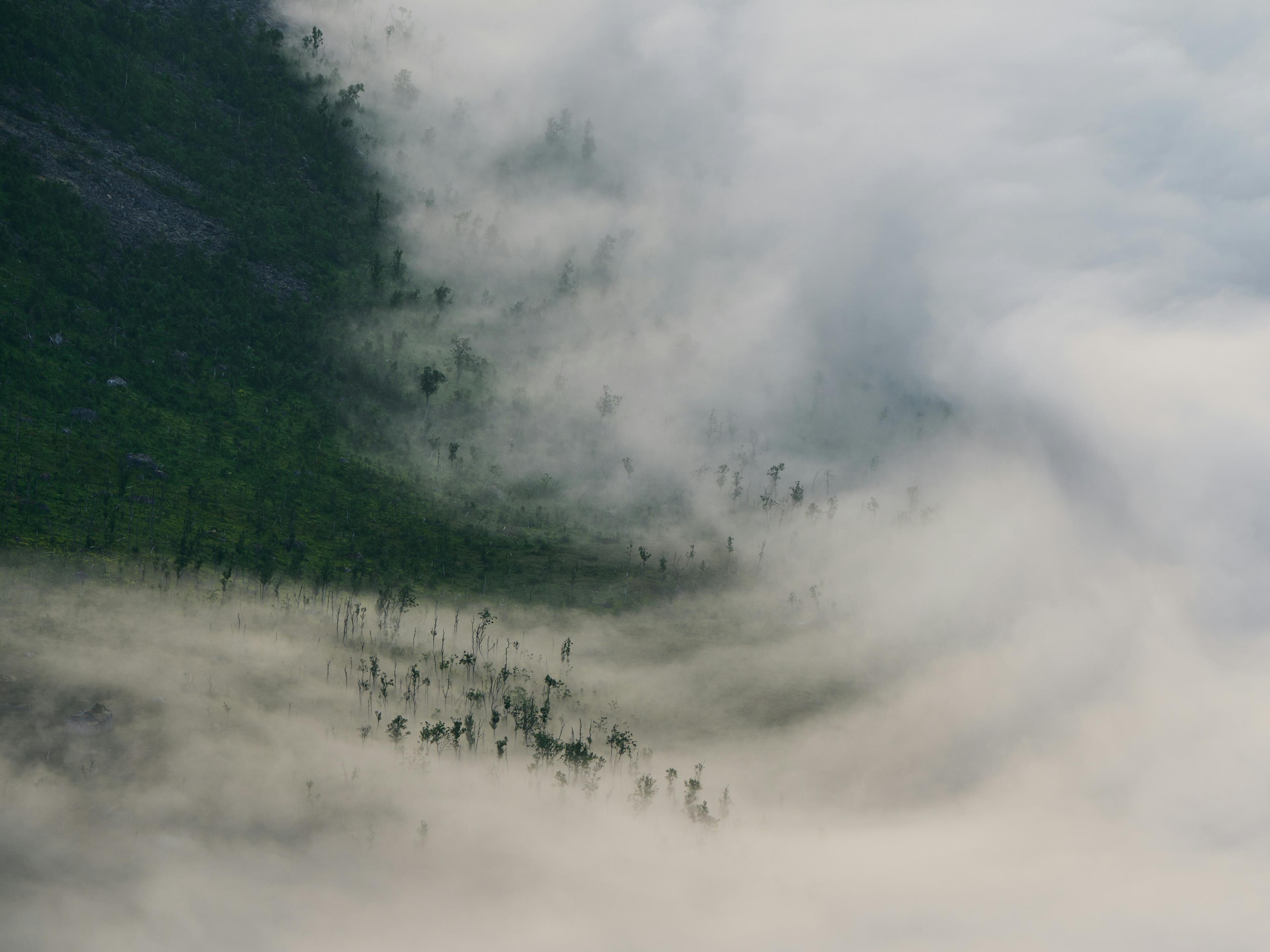 Joshua kettle uce Ga4w Ida A unsplash