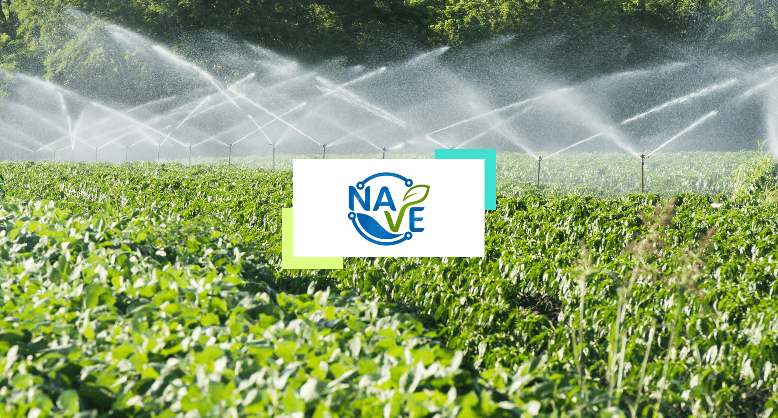 Nave analytics hero