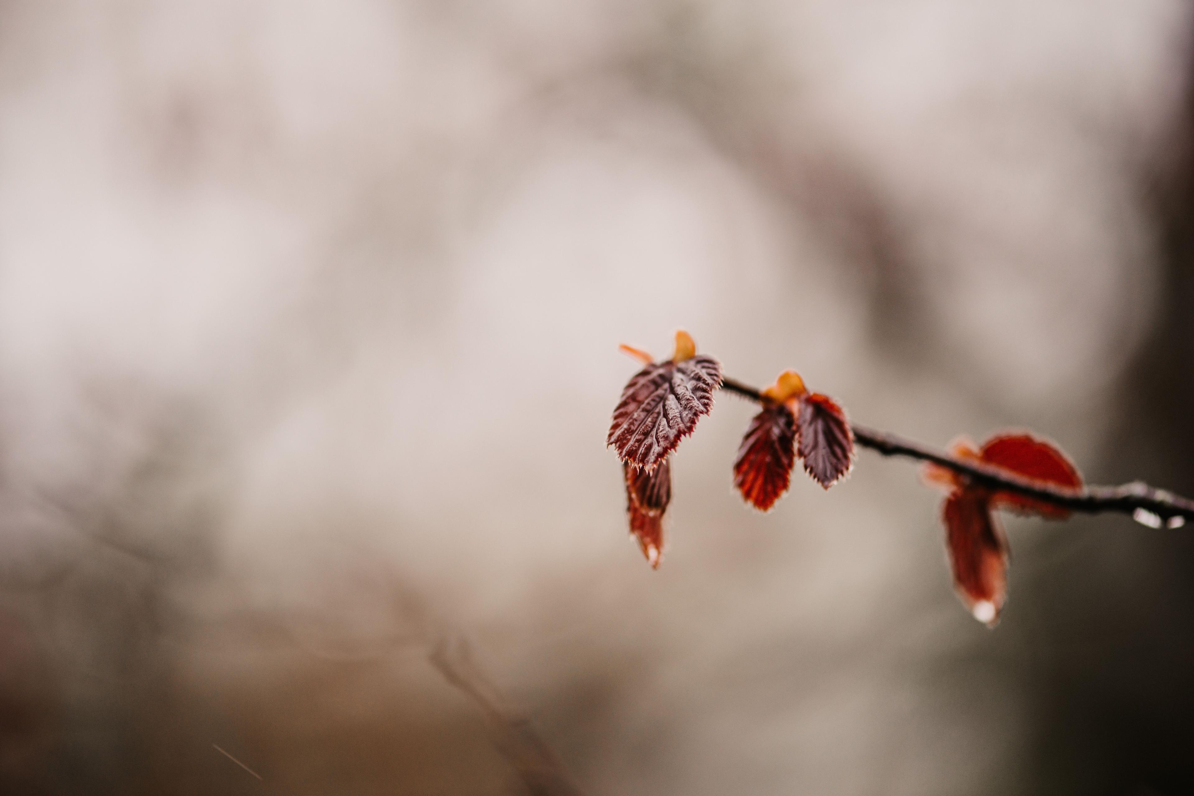 Historical weather data api anita austvika yic N6e CBV7 M unsplash