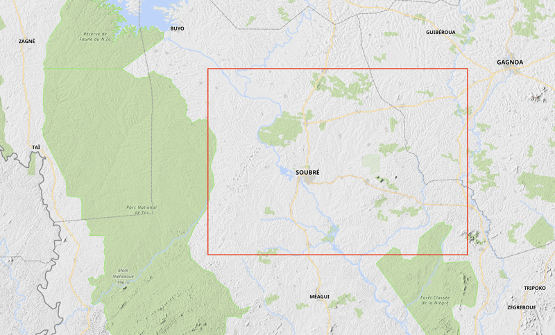 Zoom sur l'image : Grille analysée autour de la région de Soubré en Côte d'Ivoire.